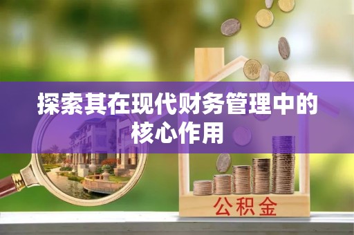 海州探索其在现代财务管理中的核心作用