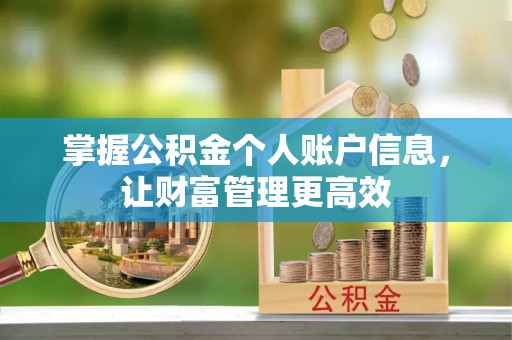 海州掌握公积金个人账户信息，让财富管理更高效