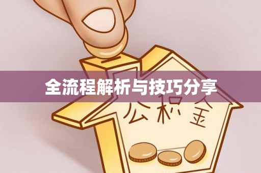 海州全流程解析与技巧分享